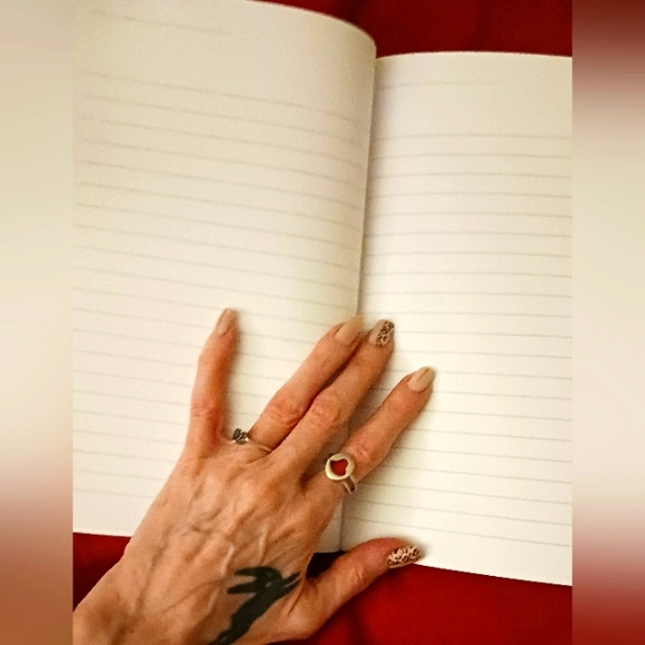 Burn book blank pages notebook - Picture 2 of 3